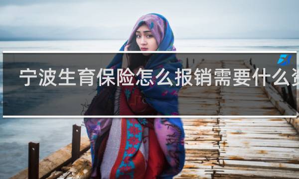 宁波生育保险怎么报销需要什么资料