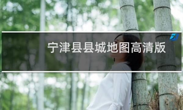 宁津县县城地图高清版