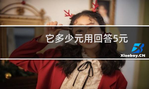 它多少元用回答5元