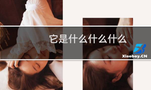 它是什么什么什么