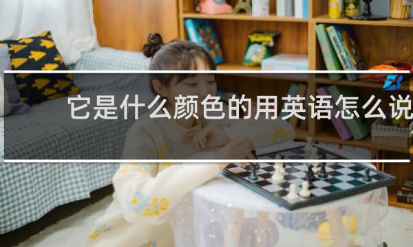 它是什么颜色的用英语怎么说