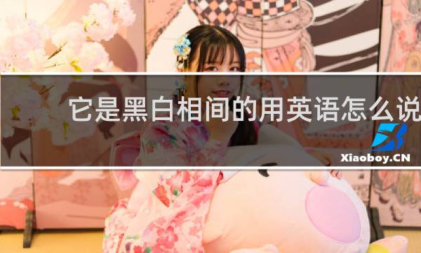 它是黑白相间的用英语怎么说