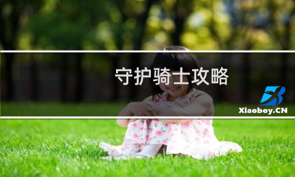 守护骑士攻略