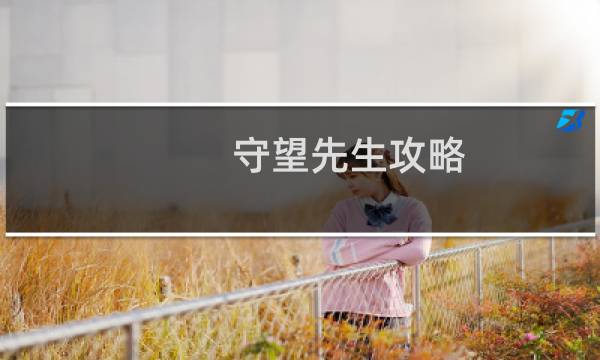 守望先生攻略