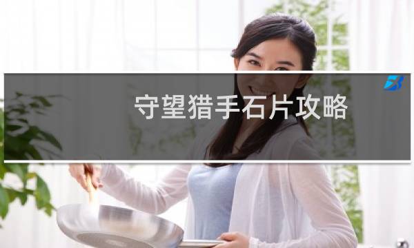 守望猎手石片攻略