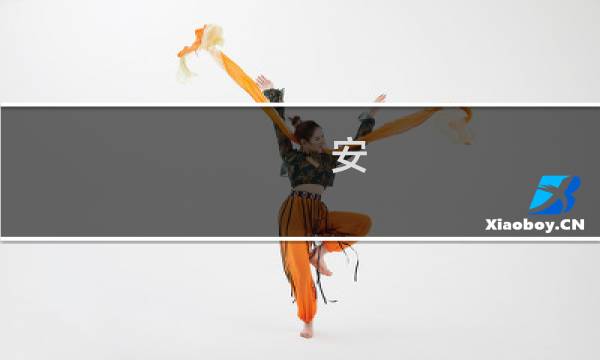 安 白 攻略