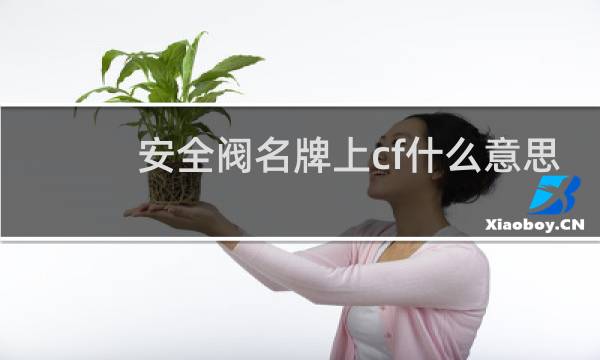 安全阀名牌上cf什么意思