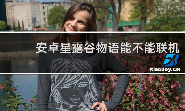 安卓星露谷物语能不能联机