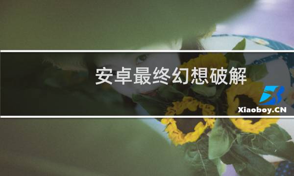 安卓最终幻想破解