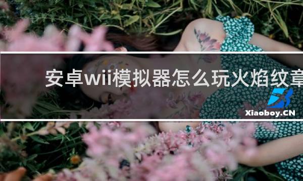 安卓wii模拟器怎么玩火焰纹章