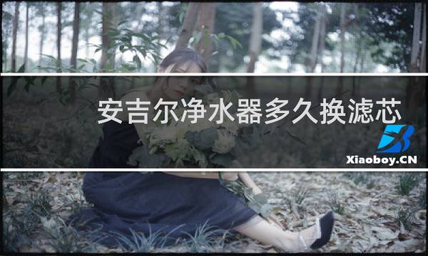 安吉尔净水器多久换滤芯