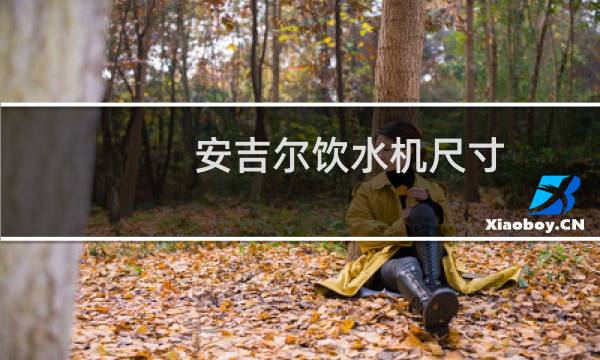 安吉尔饮水机尺寸