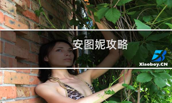 安图妮攻略 刺客