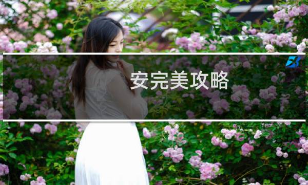 安完美攻略