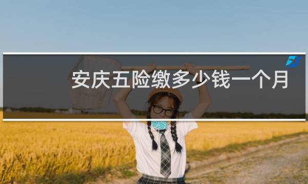 安庆五险缴多少钱一个月