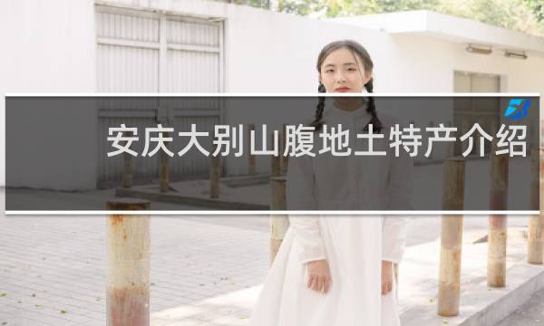 安庆大别山腹地土特产介绍