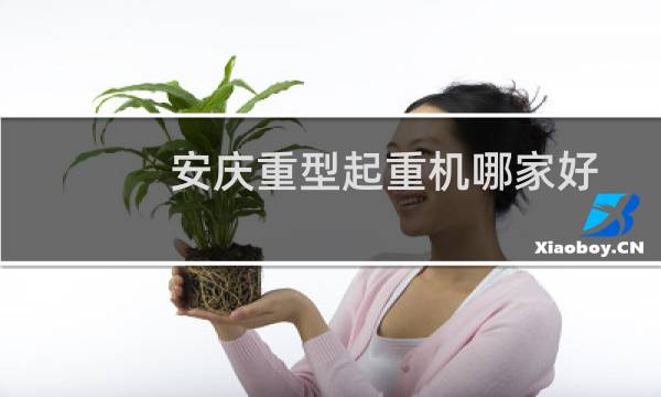 安庆重型起重机哪家好