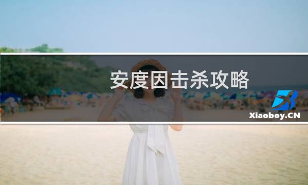 安度因击杀攻略