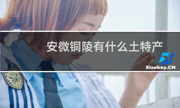 安微铜陵有什么土特产