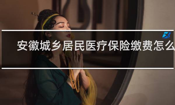安徽城乡居民医疗保险缴费怎么交