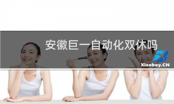 安徽巨一自动化双休吗