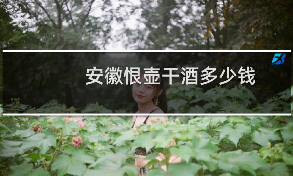 安徽恨壶干酒多少钱