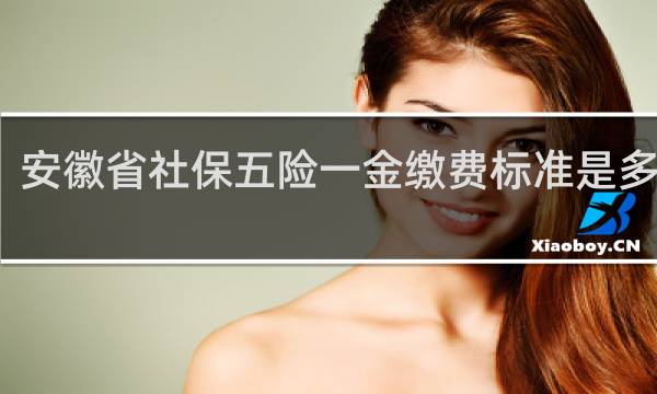 安徽省社保五险一金缴费标准是多少年