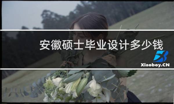 安徽硕士毕业设计多少钱