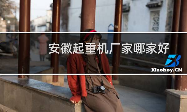 安徽起重机厂家哪家好