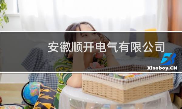 安徽顺开电气有限公司