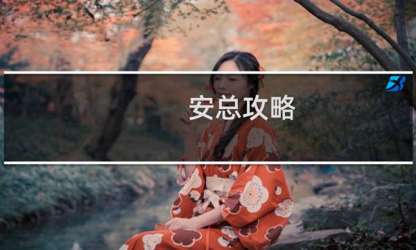 安总攻略