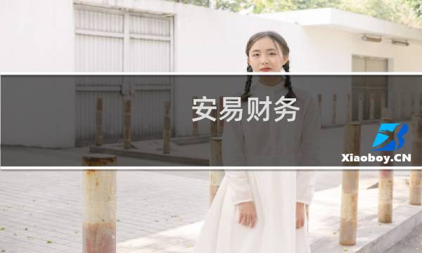 安易财务