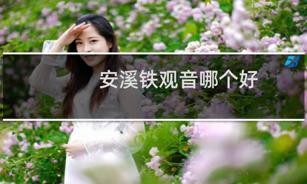 安溪铁观音哪个好