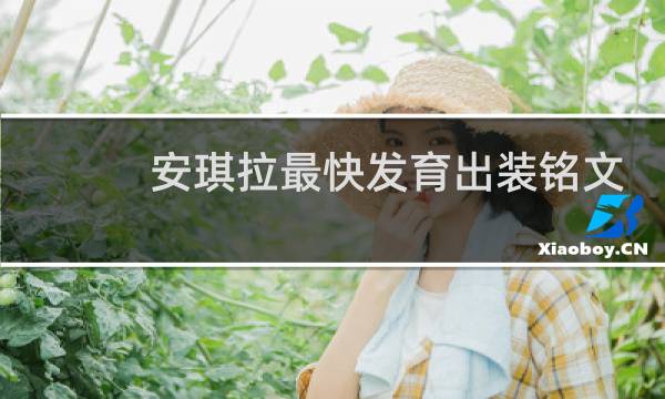 安琪拉最快发育出装铭文