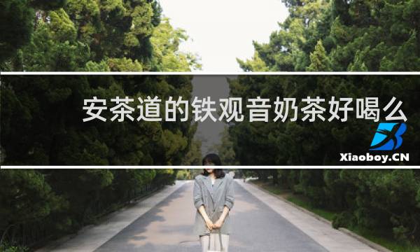 安茶道的铁观音奶茶好喝么