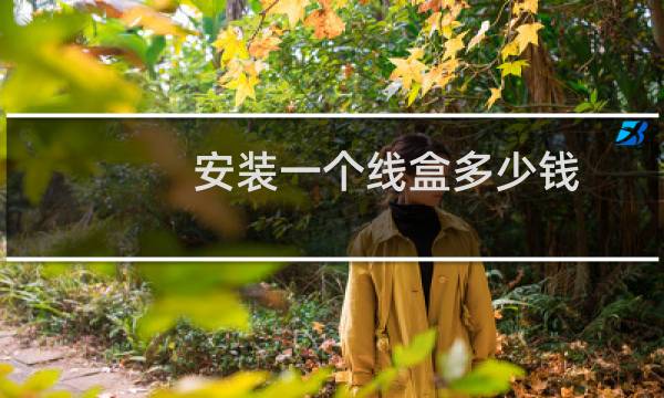 安装一个线盒多少钱