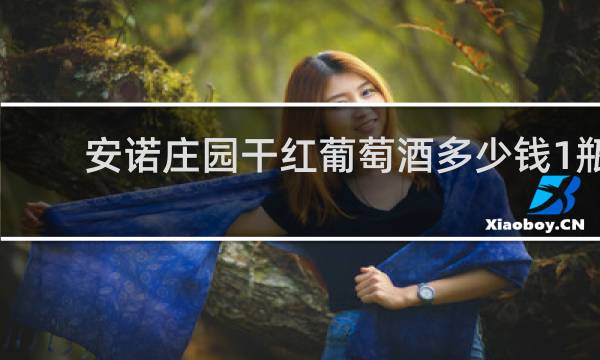 安诺庄园干红葡萄酒多少钱1瓶