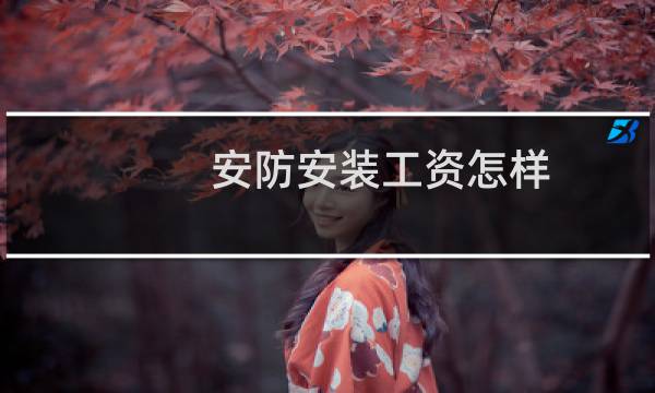 安防安装工资怎样