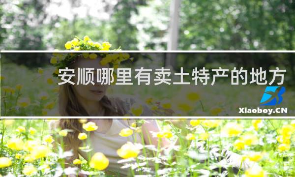 安顺哪里有卖土特产的地方
