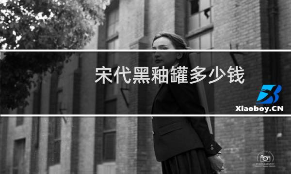宋代黑釉罐多少钱