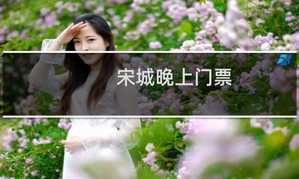 宋城晚上门票