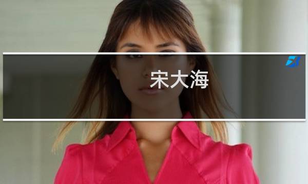 宋大海 价格