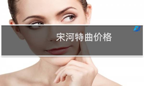 宋河特曲价格