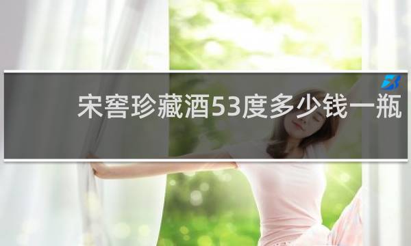 宋窖珍藏酒53度多少钱一瓶
