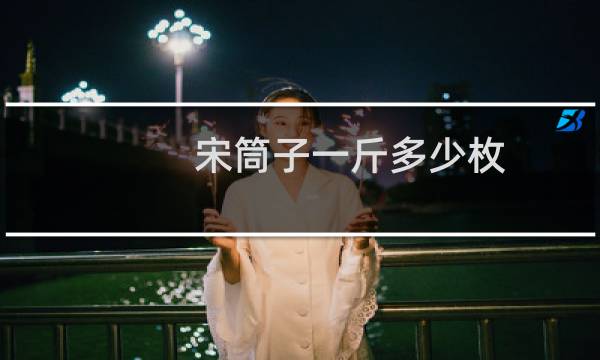 宋筒子一斤多少枚