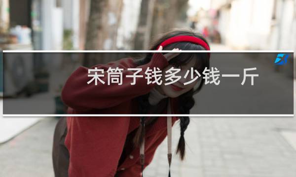 宋筒子钱多少钱一斤