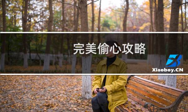 完美偷心攻略