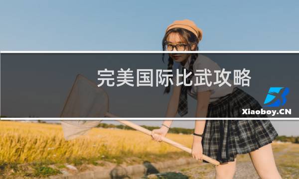 完美国际比武攻略