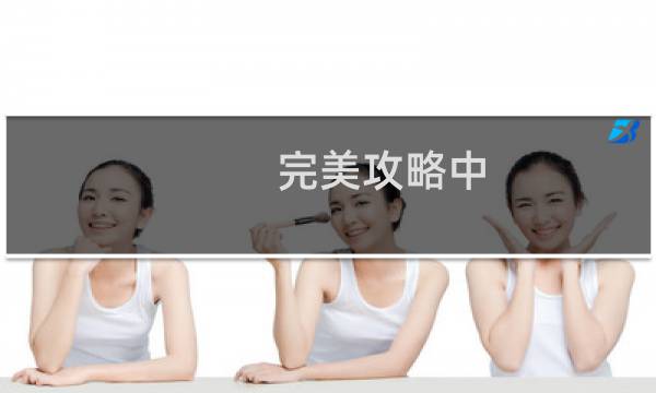 完美攻略中