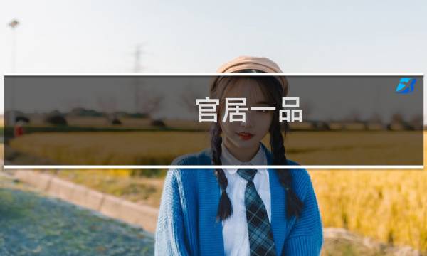 官居一品 攻略